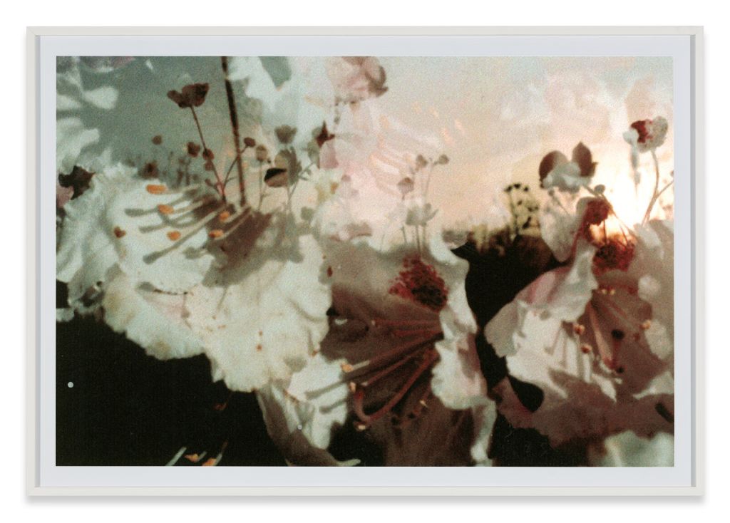 1999年発行 Peter Fischli David Weiss Peter Fischli David Weiss Estate – Sprüth Magers